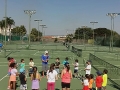 Inaugurada Escola de Tênis para crianças Tenis Mais na Academia Tella Tennis